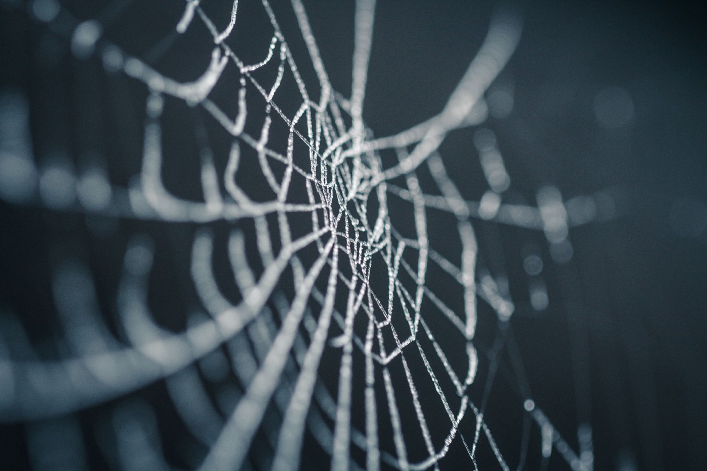 Web-cover